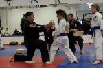 karate-board-before-img_1474